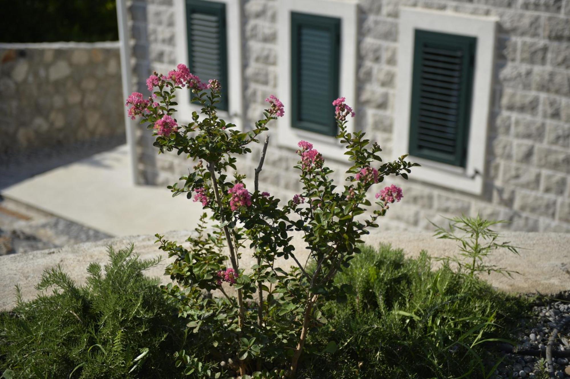 Villa Vista Azzurra Tivat Ngoại thất bức ảnh